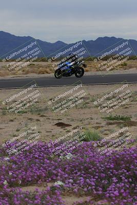 media/Jan-14-2023-SoCal Trackdays (Sat) [[497694156f]]/Turn 14 Exit Bloomig (145pm)/
